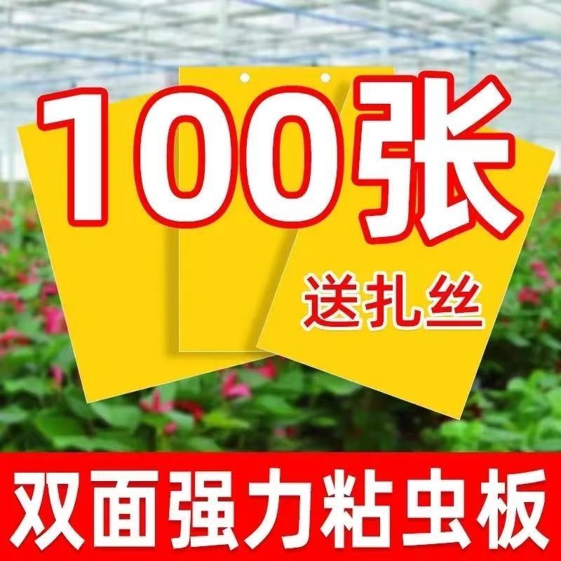 双面粘虫黄板诱虫板果园果蝇针蜂蓝板蓟马飞虫双面大棚粘