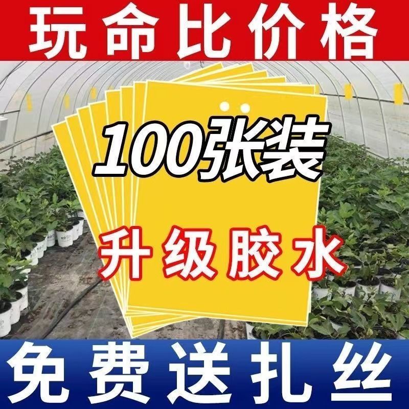 双面粘虫黄板诱虫板果园果蝇针蜂蓝板蓟马飞虫双面大棚粘