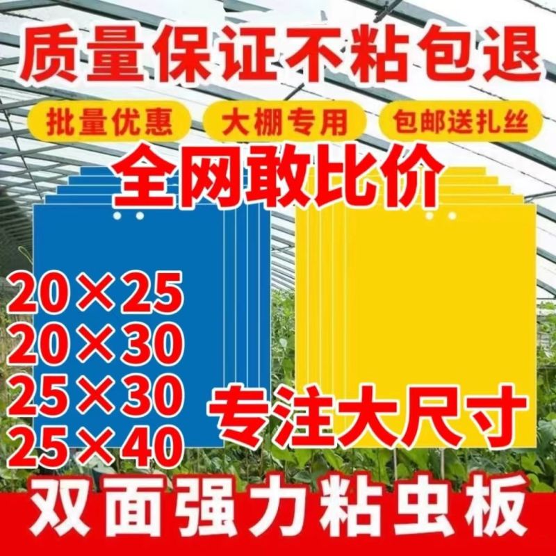 双面粘虫黄板诱虫板果园果蝇针蜂蓝板蓟马飞虫双面大棚粘