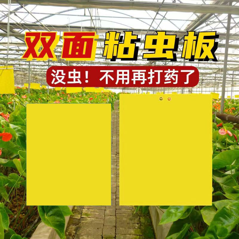 双面粘虫黄板诱虫板果园果蝇针蜂蓝板蓟马飞虫双面大棚粘