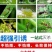 双面粘虫黄板诱虫板果园果蝇针蜂蓝板蓟马飞虫双面大棚粘