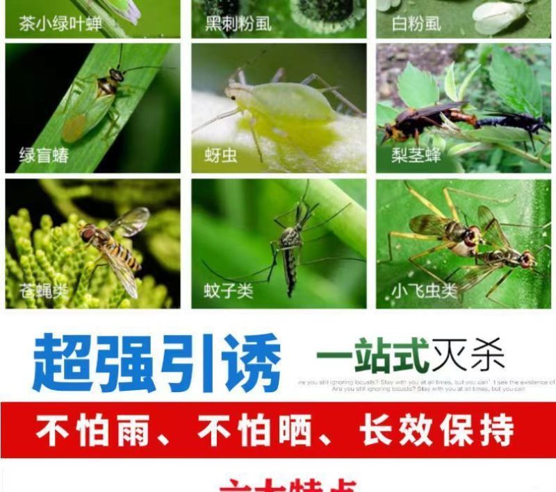 双面粘虫黄板诱虫板果园果蝇针蜂蓝板蓟马飞虫双面大棚粘
