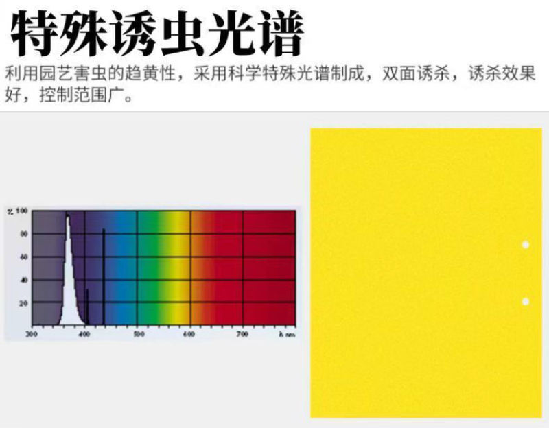 双面粘虫黄板诱虫板果园果蝇针蜂蓝板蓟马飞虫双面大棚粘