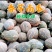 广东产区香芋南瓜市场瓜电商瓜大量供应
