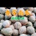 广东产区香芋南瓜市场瓜电商瓜大量供应