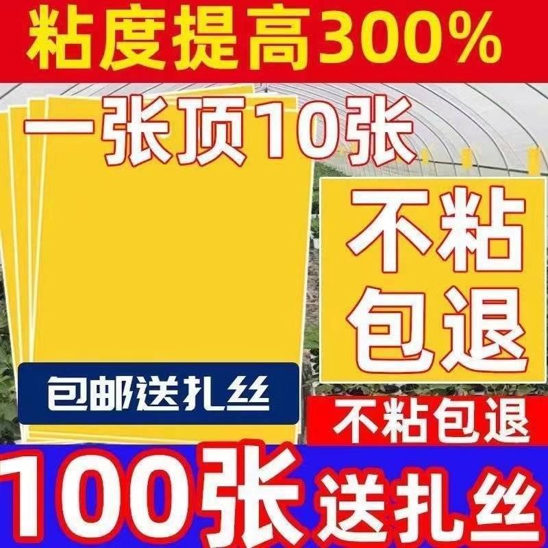 双面粘虫黄板诱虫板果园果蝇针蜂蓝板蓟马飞虫双面大棚粘
