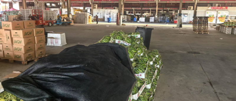 头茬美都西瓜皮薄味甜产地直发诚信经营全国发货欢迎咨询