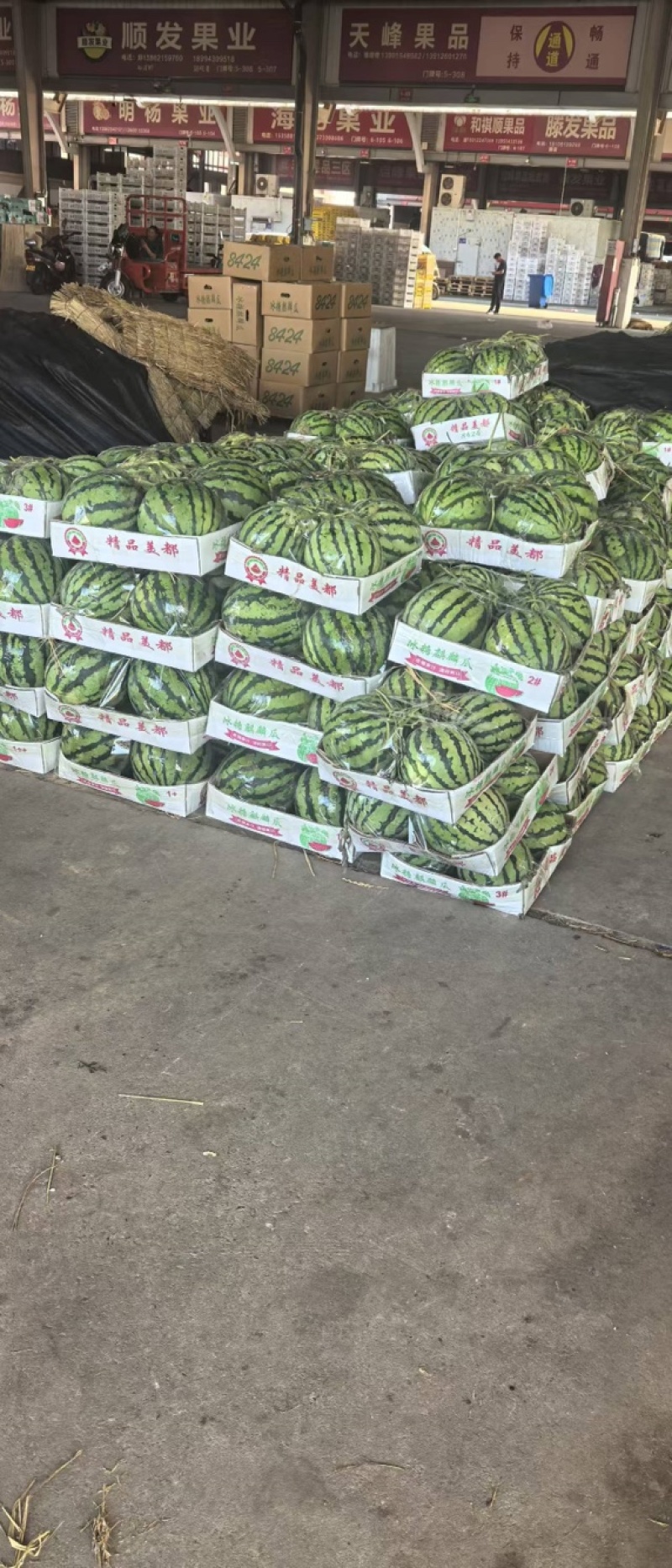 头茬美都西瓜皮薄味甜产地直发诚信经营全国发货欢迎咨询