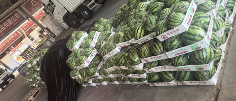 头茬美都西瓜皮薄味甜产地直发诚信经营全国发货欢迎咨询