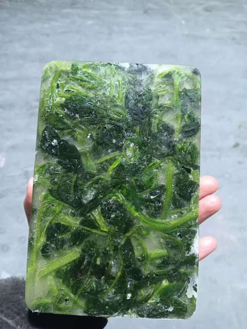 芥兰苗(半成品)