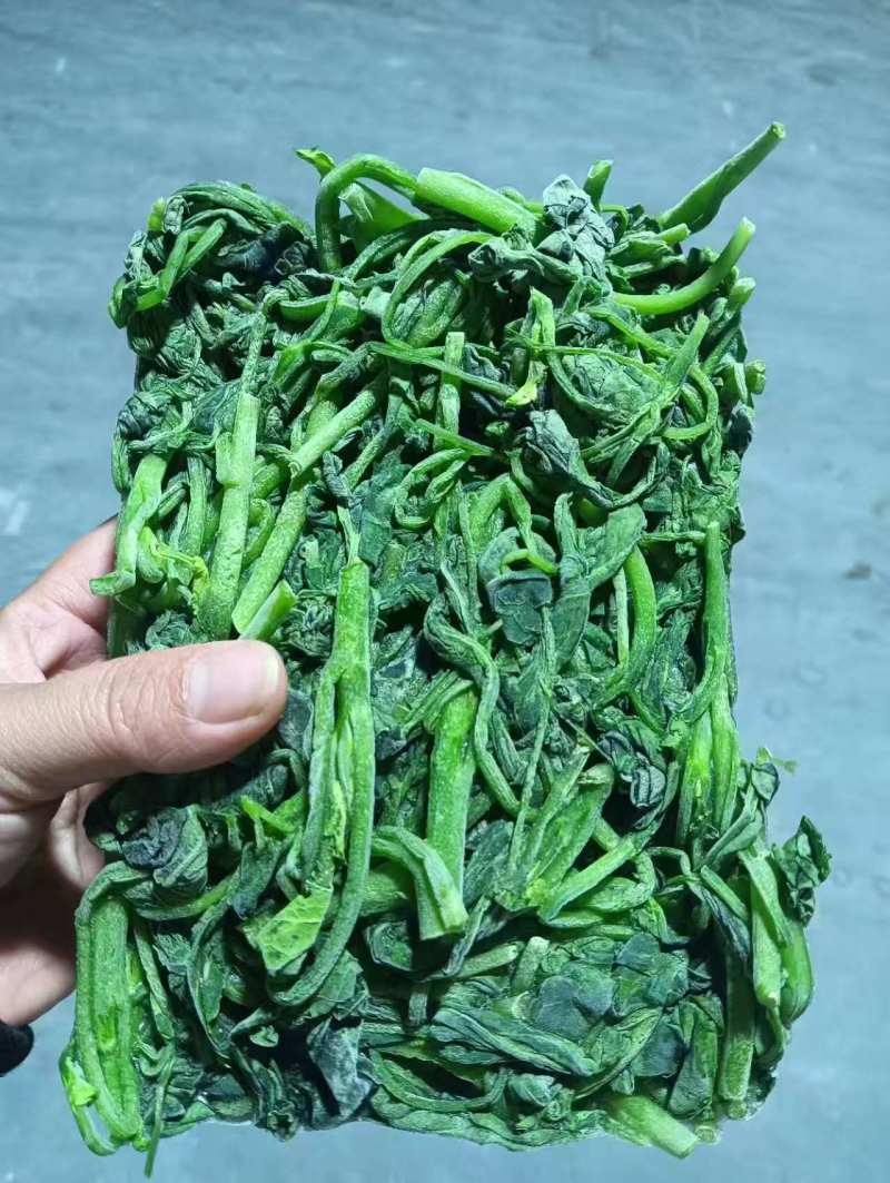 芥兰苗(半成品)