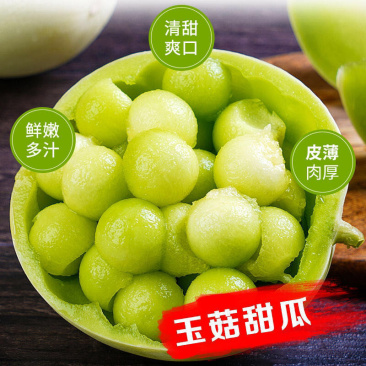 玉菇甜瓜蜜瓜10斤新鲜水果批发当季脆玉茹香瓜哈密瓜羊角蜜