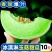 玉菇甜瓜蜜瓜10斤新鲜水果批发当季脆玉茹香瓜哈密瓜羊角蜜