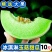 玉菇甜瓜蜜瓜10斤新鲜水果批发当季脆玉茹香瓜哈密瓜羊角蜜
