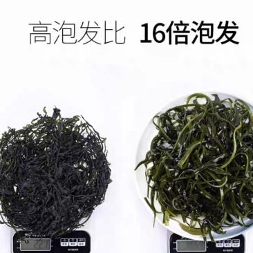 海带青丝，无沙无泥厂家直发品质保障对接全国