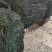 海带青丝，无沙无泥厂家直发品质保障对接全国