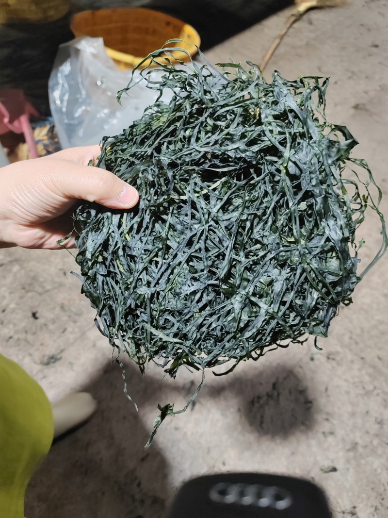 海带青丝，无沙无泥厂家直发品质保障对接全国