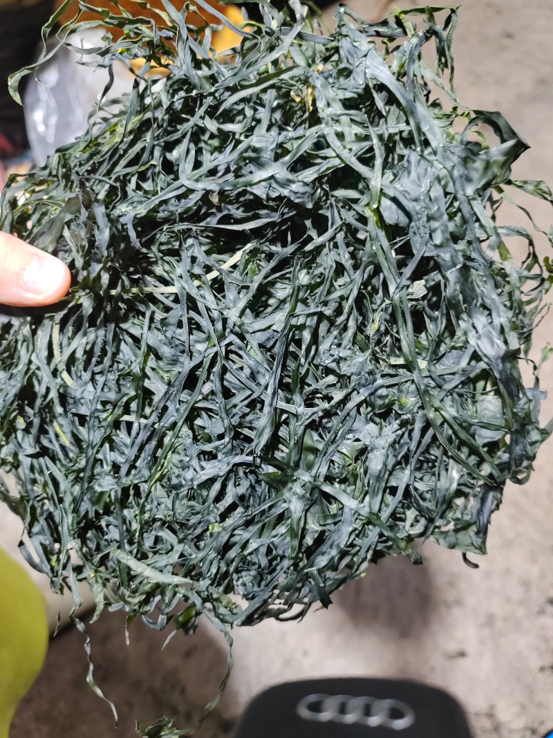 海带青丝，无沙无泥厂家直发品质保障对接全国