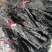 海带青丝，无沙无泥厂家直发品质保障对接全国