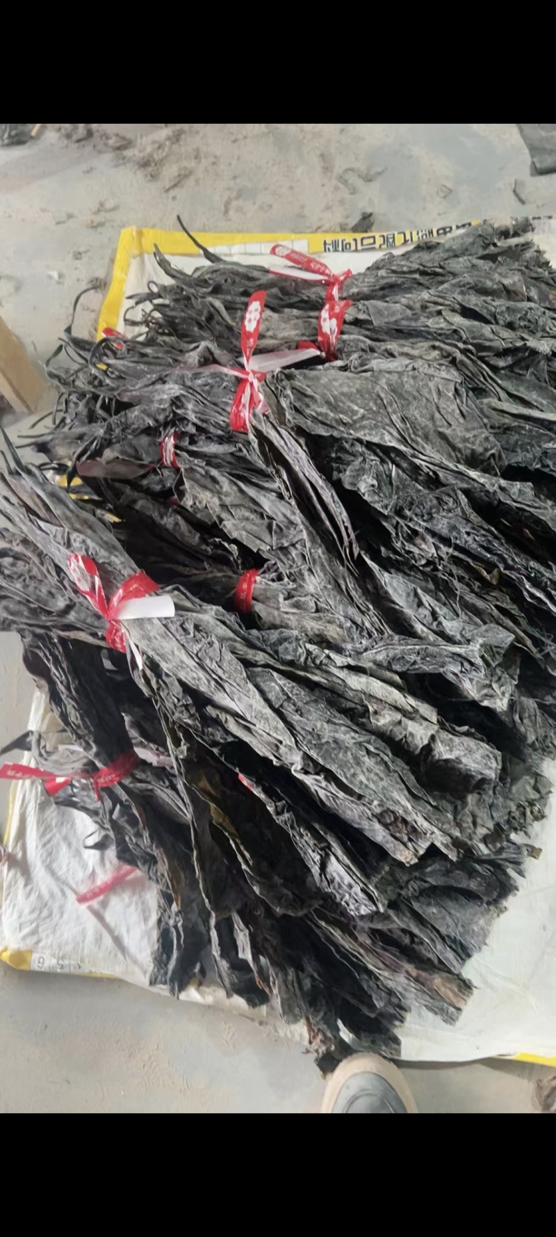 海带青丝，无沙无泥厂家直发品质保障对接全国