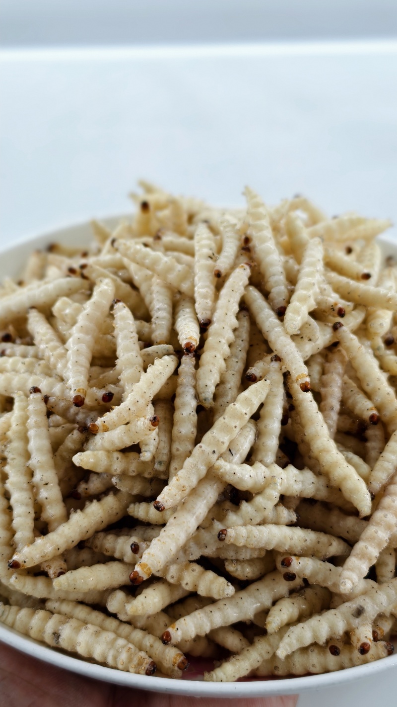 小竹虫食用竹虫，特色食材！常年供应（一手货源）批发零售