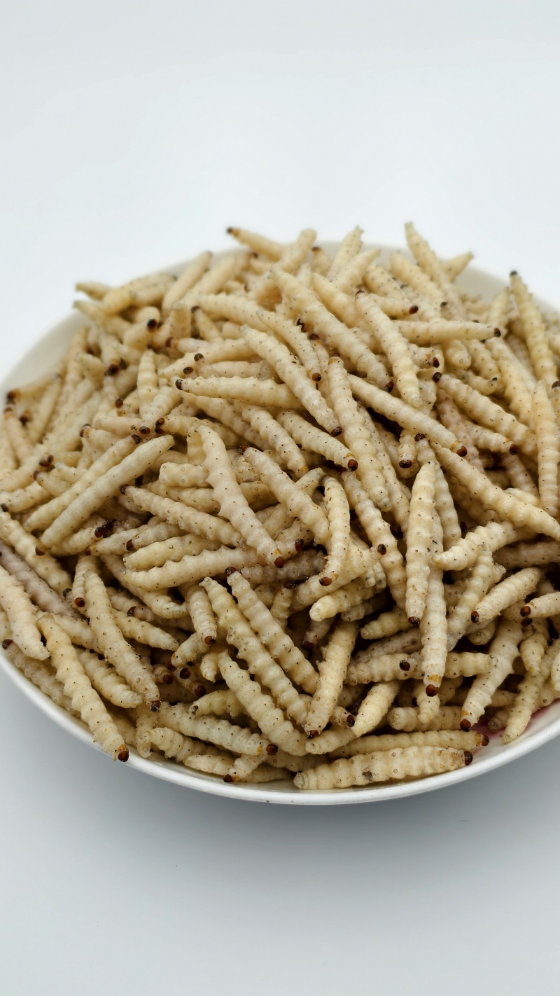 小竹虫食用竹虫，特色食材！常年供应（一手货源）批发零售