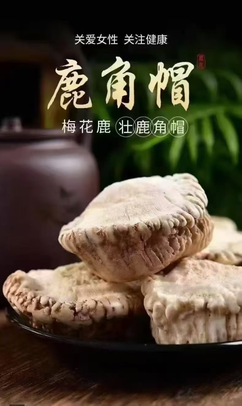 梅花鹿角帽吉林双阳鹿家乡鹿产地一手货源免费打粉！