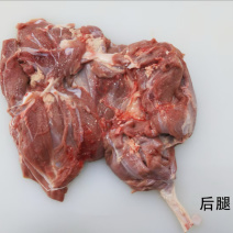 【精品】河南乳牛后腿肉产地直发品质保障可视频看货