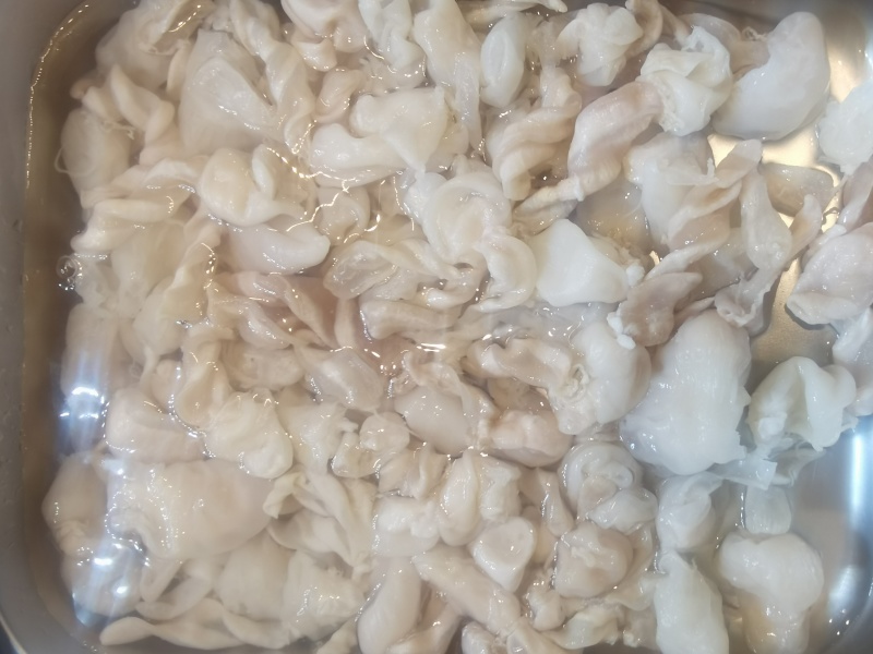 鱼泡