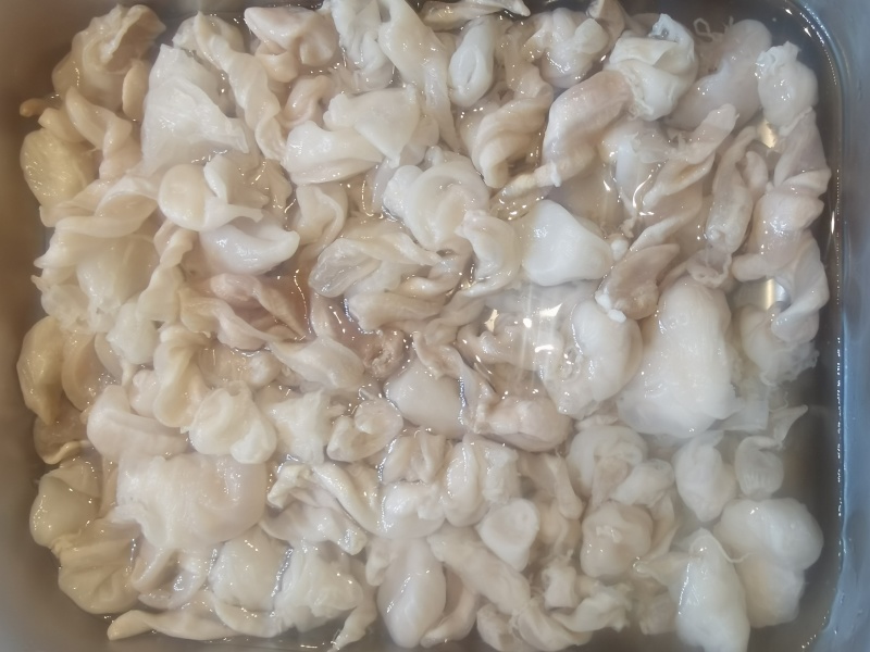 鱼泡