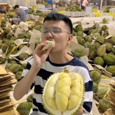 金枕榴莲产地直销一手价格，A果保5房坏果包赔，货到付款
