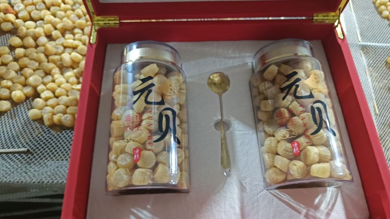 元贝产地大连品质高价格低对接全国各地客商前来对接诚信经营