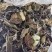 25年生态古树白茶