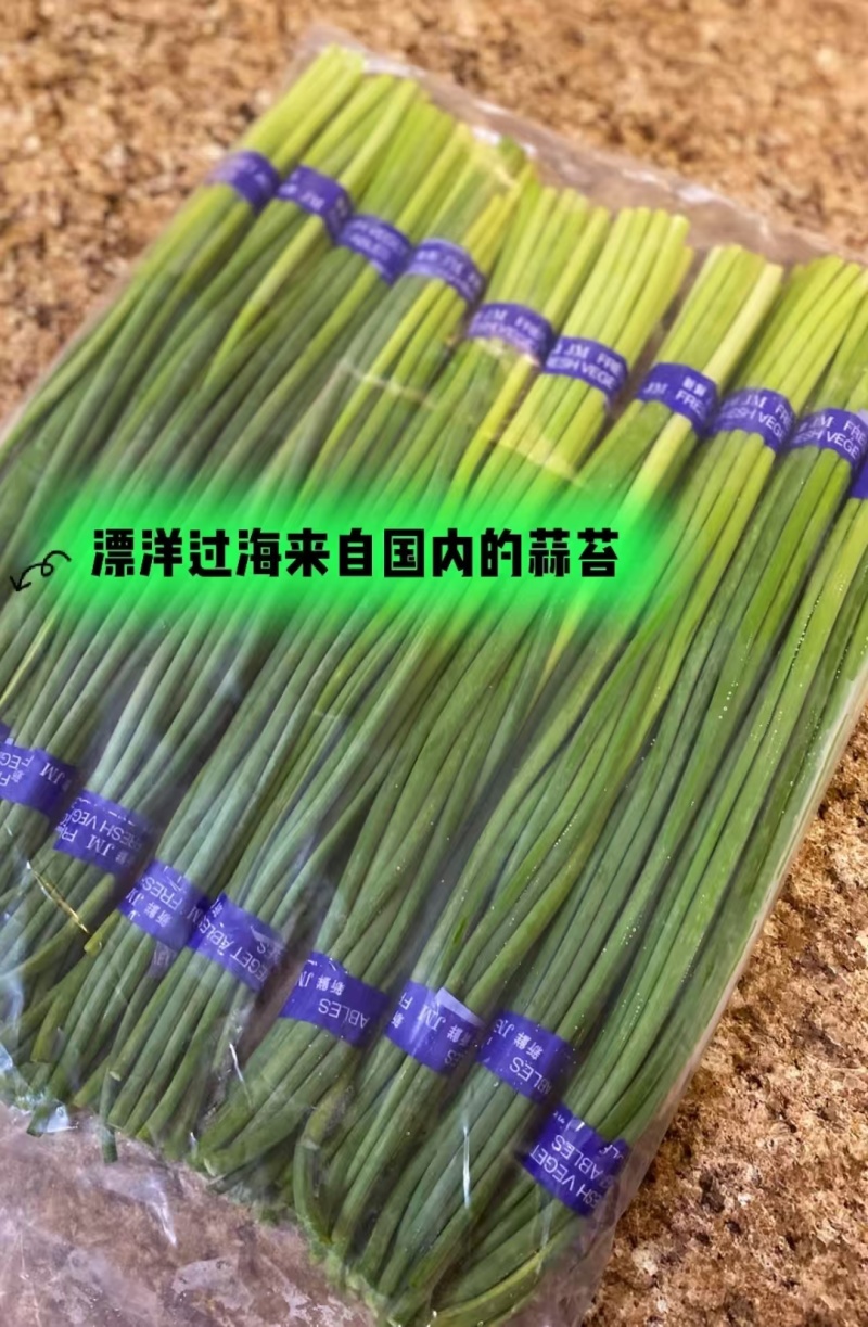 蒜薹白帽蒜薹产地一手货源品质保障对接全国商超市场