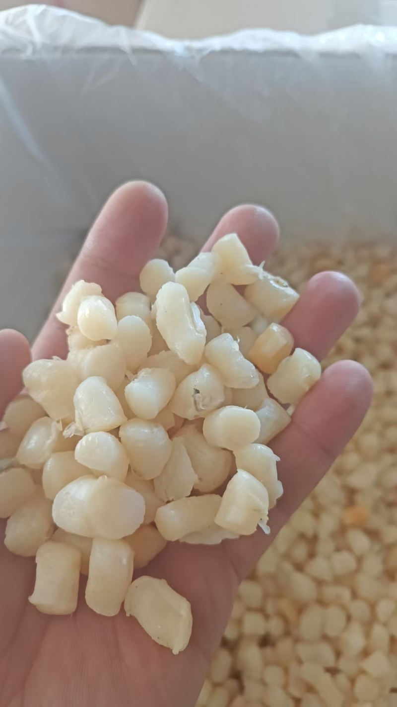 糖贝产地秦皇岛看得见的品质诚信经营对接电商批发供应链