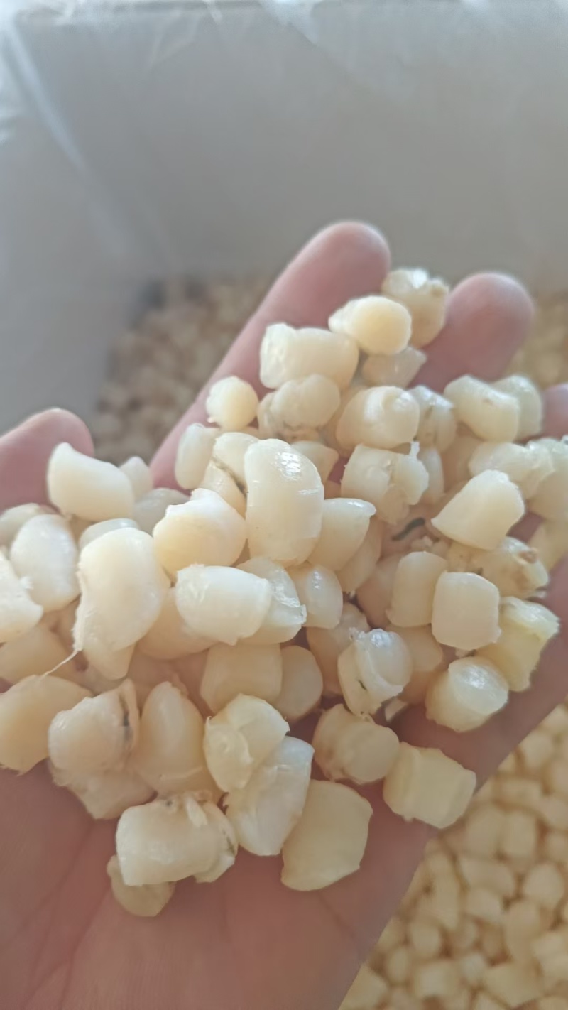 糖贝产地秦皇岛看得见的品质诚信经营对接电商批发供应链