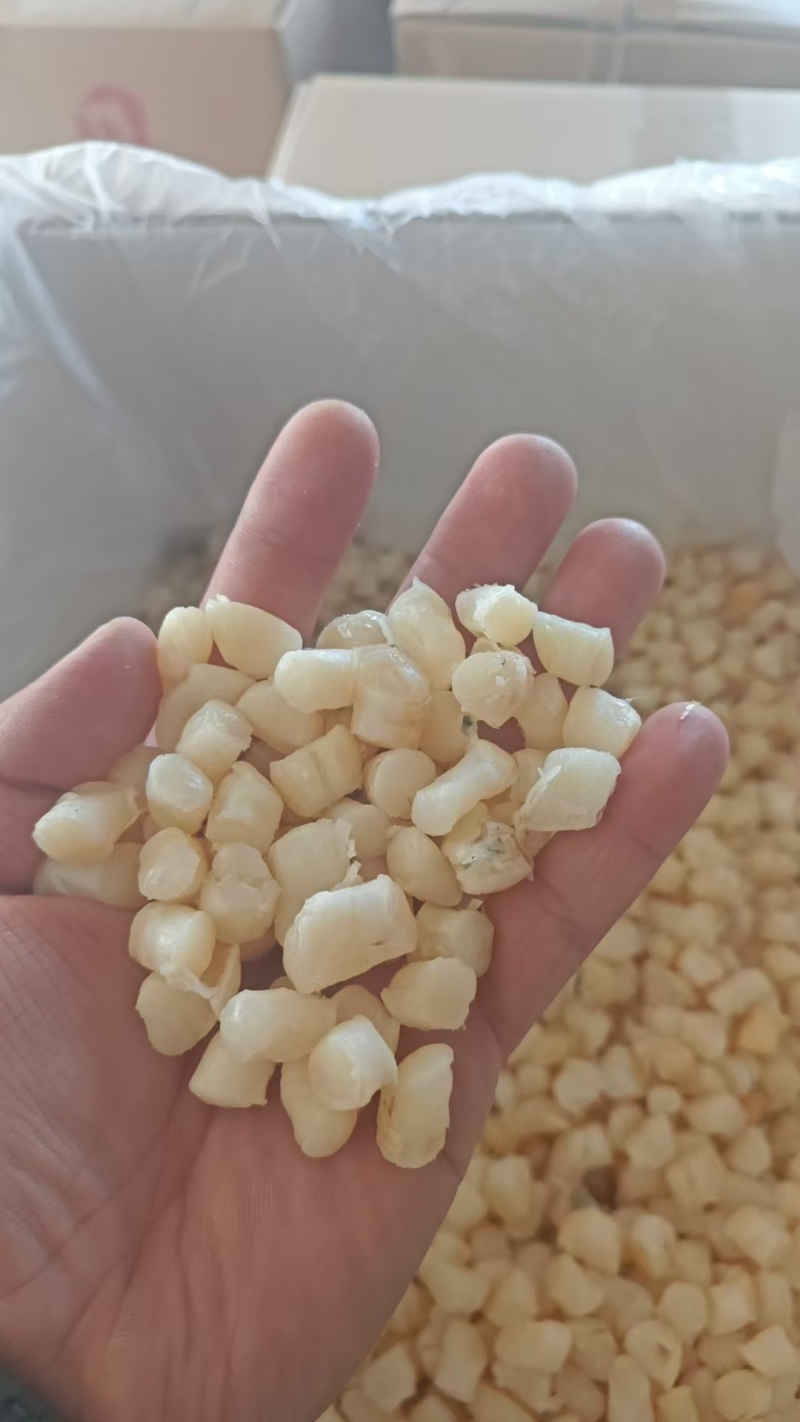 糖贝产地秦皇岛看得见的品质诚信经营对接电商批发供应链