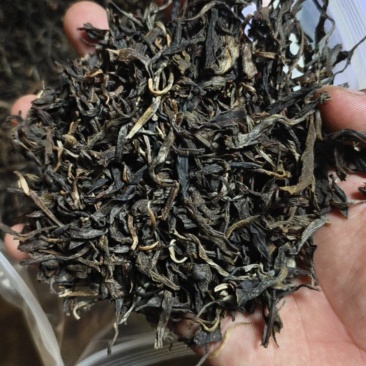 云南普洱茶，两年多了，茶价不好，亏本处理，一共12吨左右