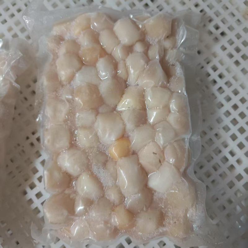 扇贝丁产地秦皇岛现货大量供应品质保证欢迎各地客商诚信对接