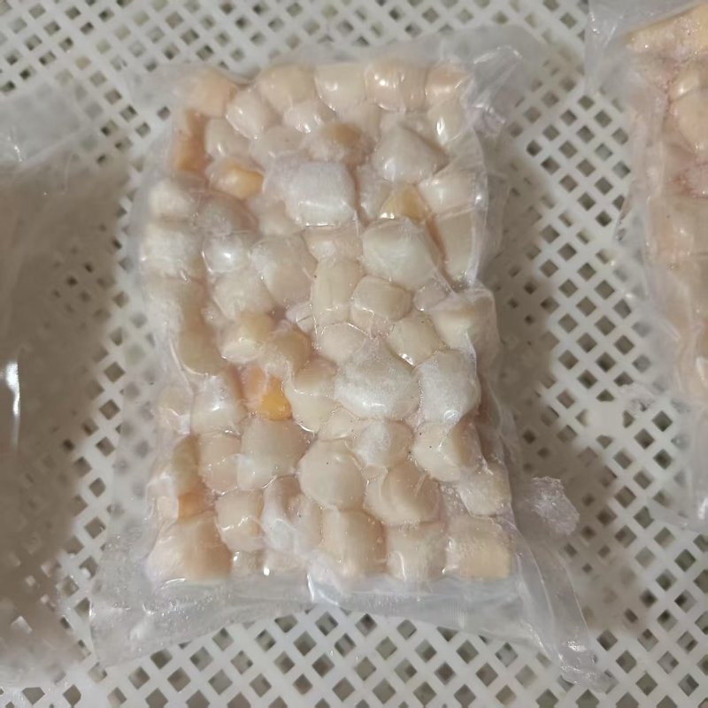 扇贝丁产地秦皇岛现货大量供应品质保证欢迎各地客商诚信对接