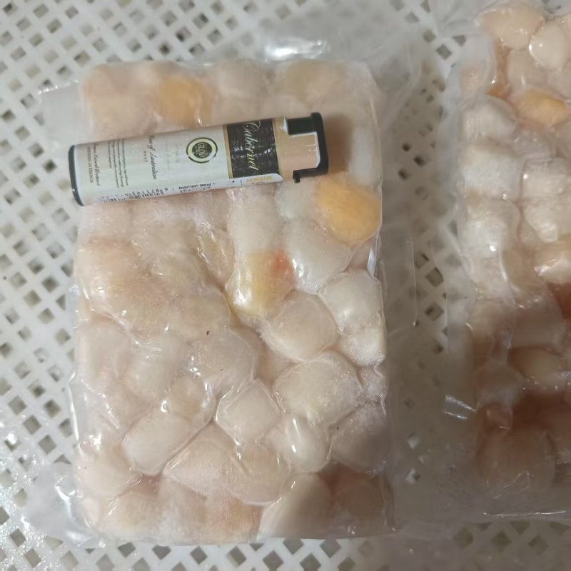 扇贝丁产地秦皇岛现货大量供应品质保证欢迎各地客商诚信对接