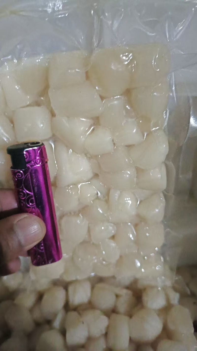 扇贝丁产地秦皇岛现货大量供应品质保证欢迎各地客商诚信对接