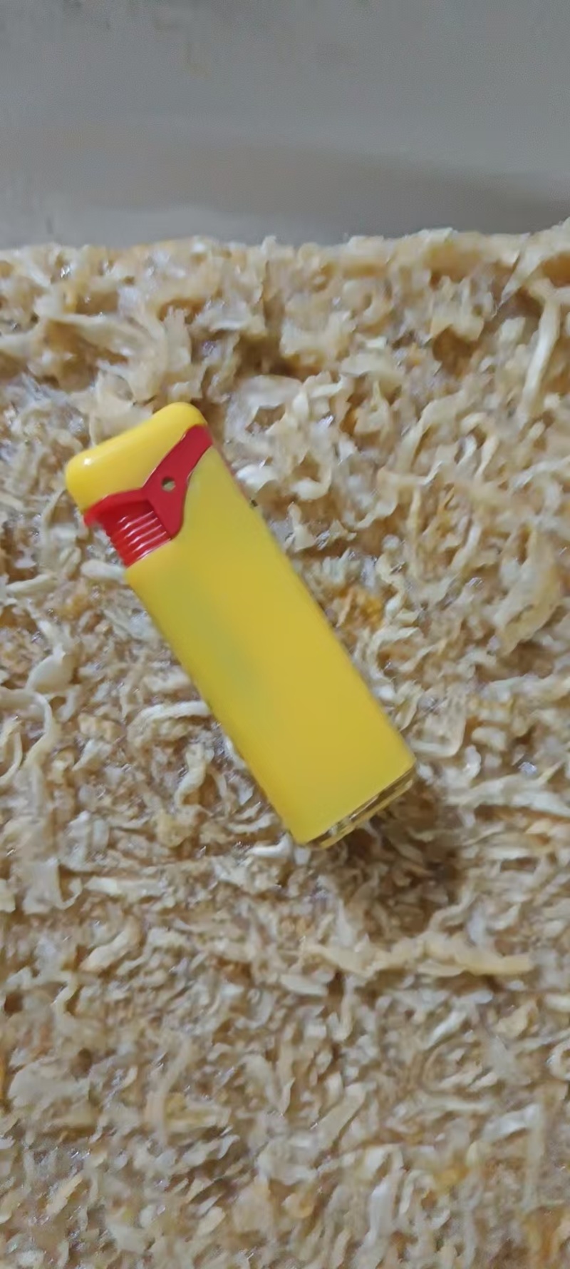 扇贝边子食品级现货供应产自秦皇岛欢迎各地客商致电诚信对接