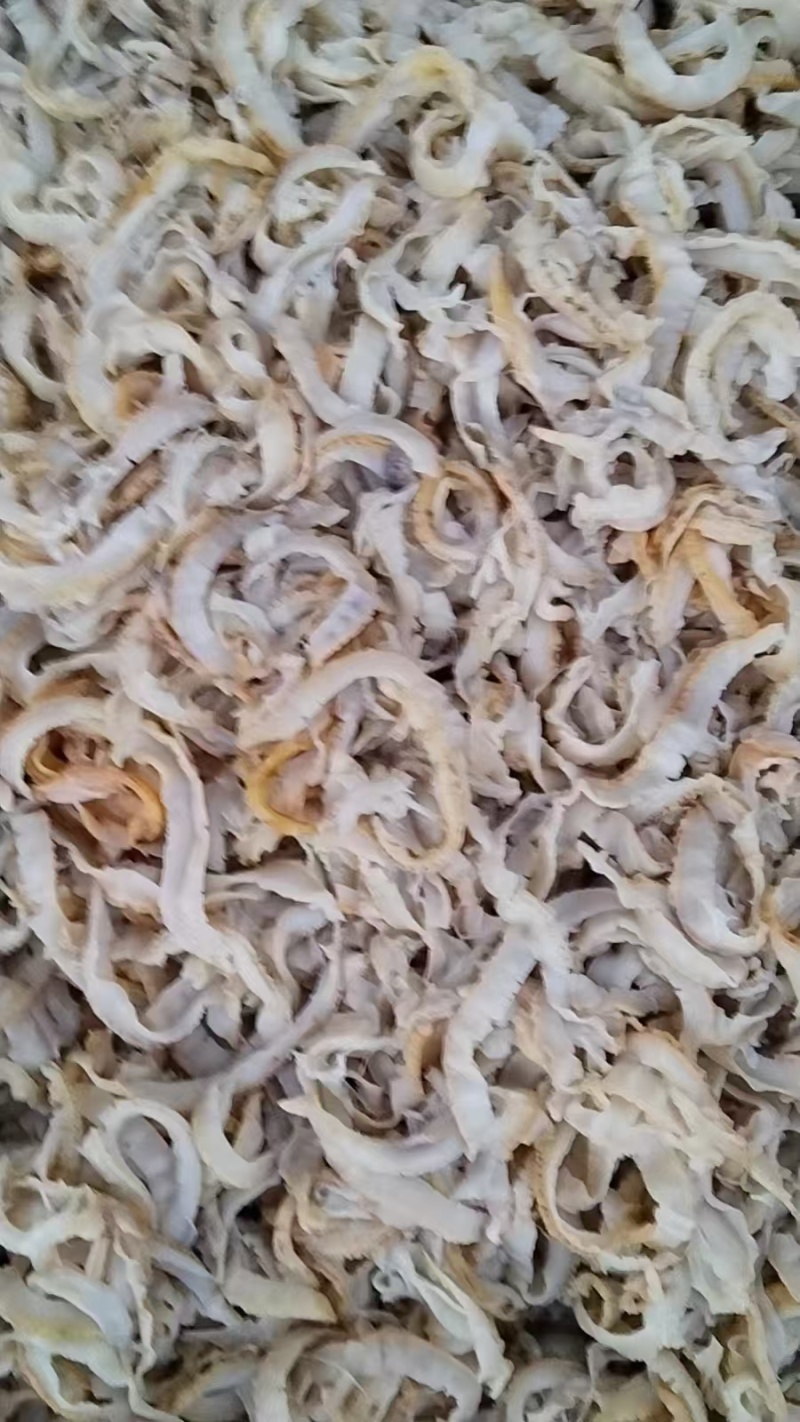 扇贝边子食品级现货供应产自秦皇岛欢迎各地客商致电诚信对接