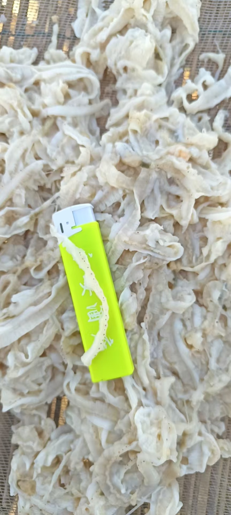 扇贝边子食品级现货供应产自秦皇岛欢迎各地客商致电诚信对接
