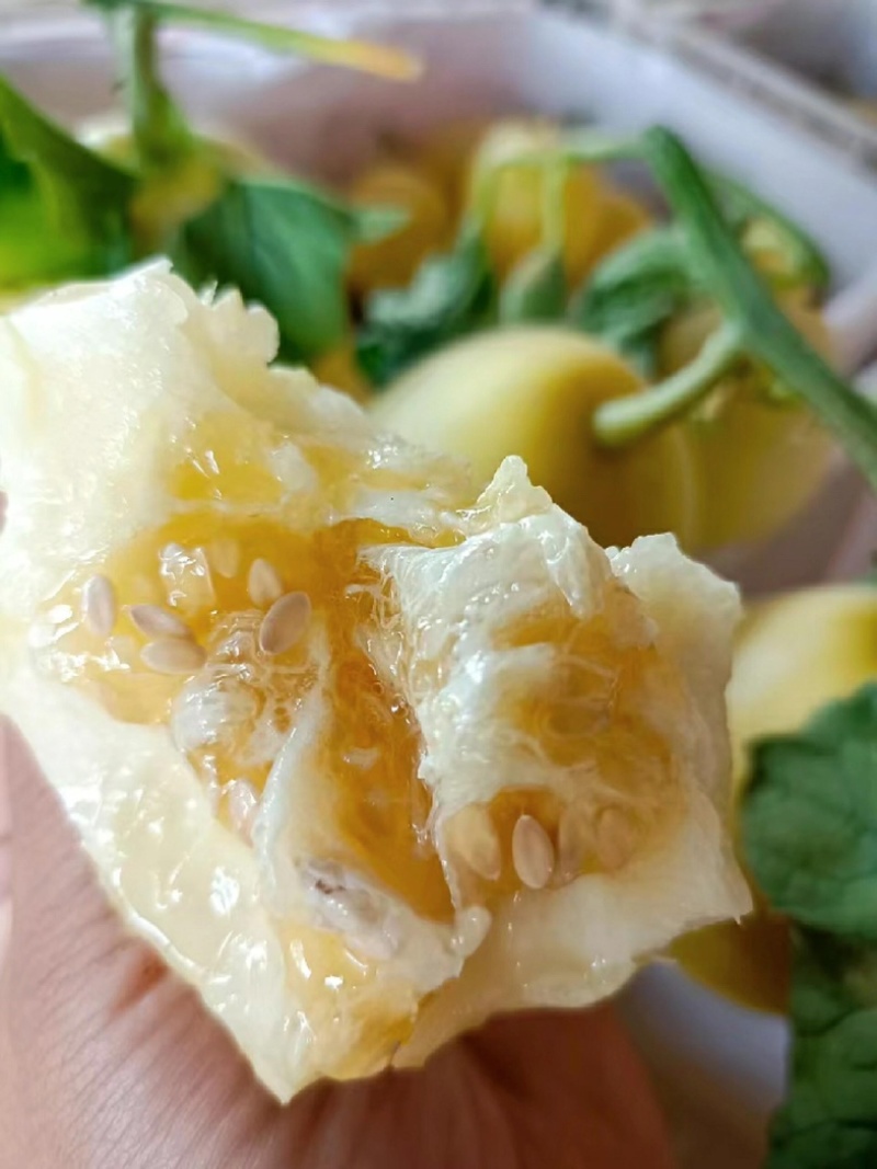 【精品】大荔甜瓜星甜24现摘先发皮毛好甜度高全国发货