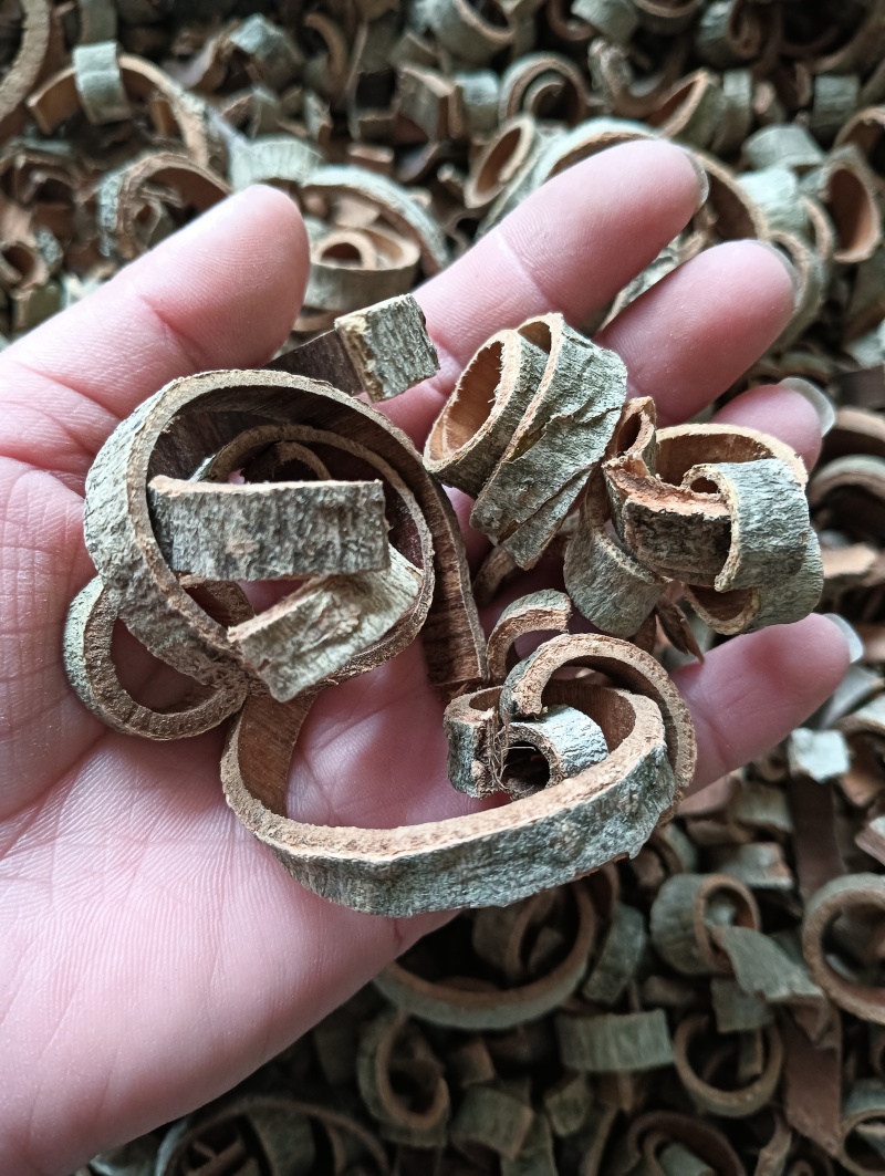 厚朴川厚朴实物实拍批发各种中药材量大优惠