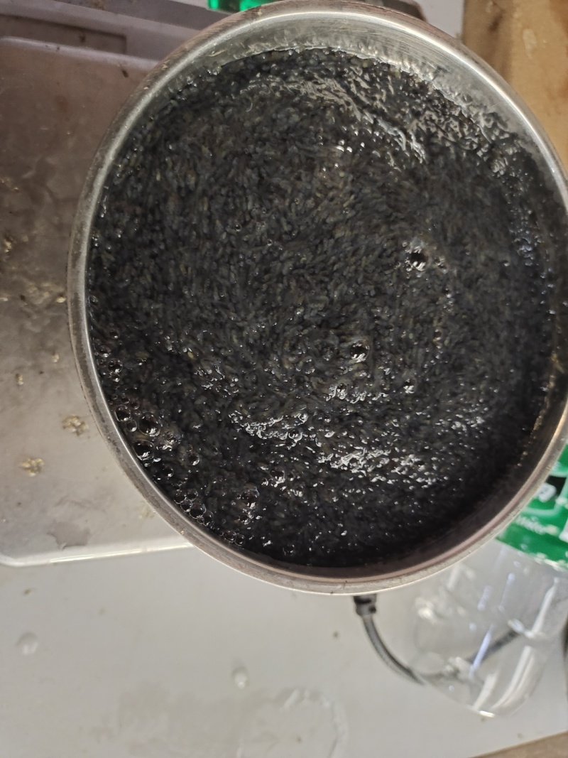 黄颡鱼苗水花，黄辣丁水花，黄骨鱼水花。体质好，存活率高。