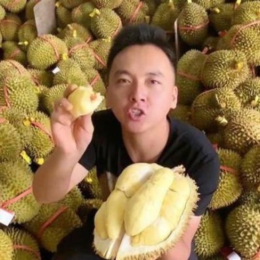 金枕榴莲一手批发价格，a果保5房，坏果包赔，货到付款
