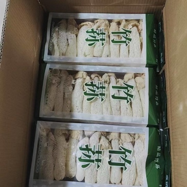 竹荪包邮竹荪长裙竹荪蛋全国发货包邮支持一件